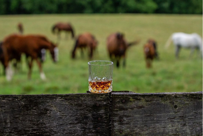 Kentucky Bourbon Horses Tourism